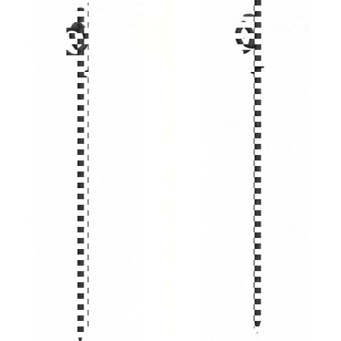 Schake - Erdnagel (Stacheldraht) Ø16mm - Länge: 750mm