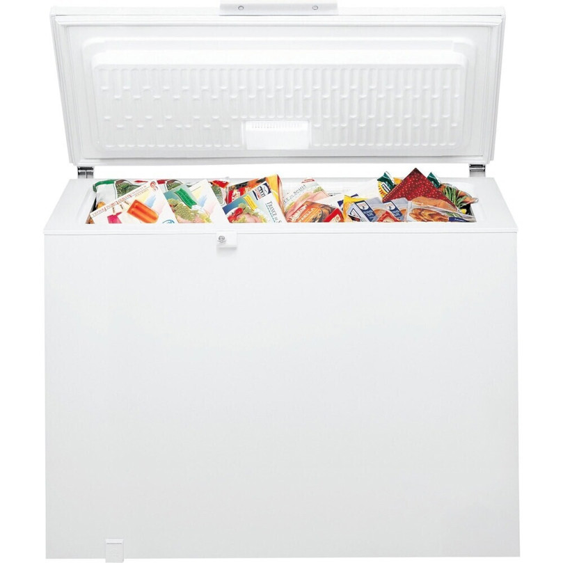 Bauknecht - GTE ECO 222 EX - Gefriertruhe - 219 Liter, Schnellgefrieren, 60h Lagerzeit